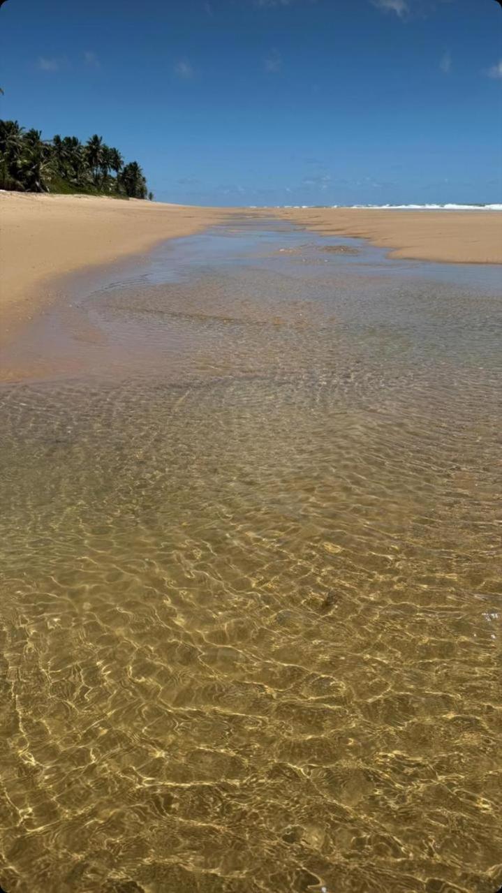 Novo Em Bahia - Ilha De Pharos Apartamento *